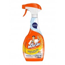 DESENGORDURANTE MR MUSCULO GATILHO 500 ML